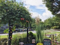  width: 100%; height : 150px