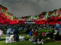  width: 100%; height : 150px