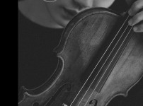  width: 100%; height : 150px